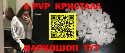 таблы Новозыбков