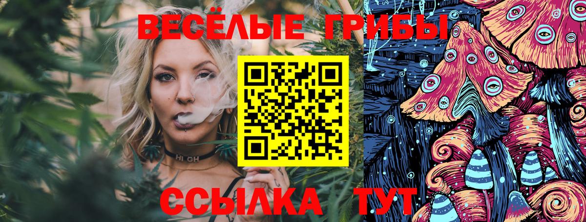 Галлюциногенные грибы Psilocybe  Вход с VPN  Тольятти 