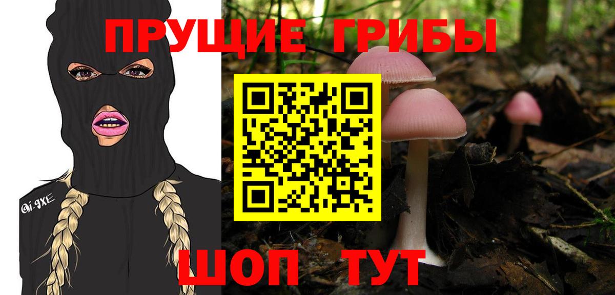 Галлюциногенные грибы прущие грибы Тольятти