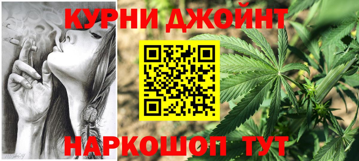Конопля сатива Тольятти